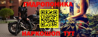 сатива Нальчик