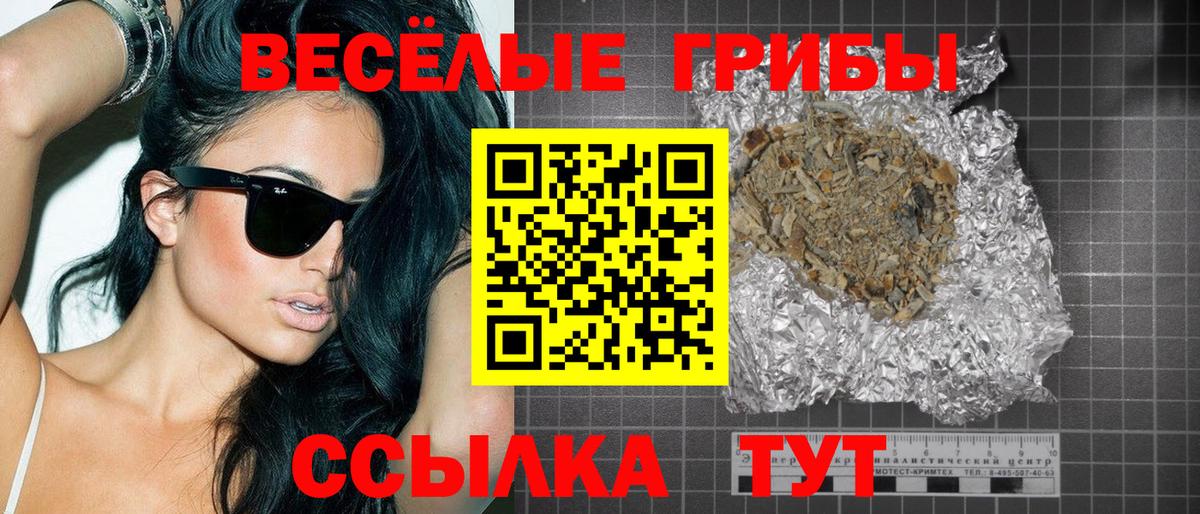 Псилоцибиновые грибы Psilocybine cubensis Советск